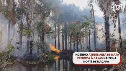 Incêndio atinge área da mata próxima à casas na Zona Norte de Macapá