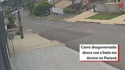 Carro desgovernado desce rua e bate em árvore no Paraná