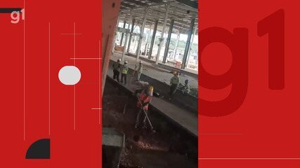 Imagens mostram condições de trabalho em obra da BYD na Bahia