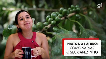 Seu cafezinho está em risco: série do g1 mostra como ele pode ser salvo