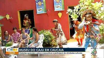 Visita ao Museu do Caju em Caucaia