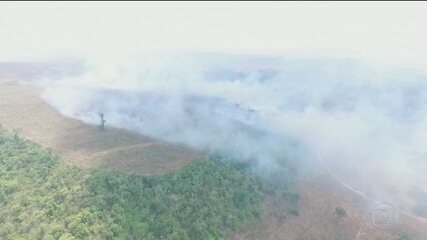 Desmatamento em áreas protegidas da Amazônia avança