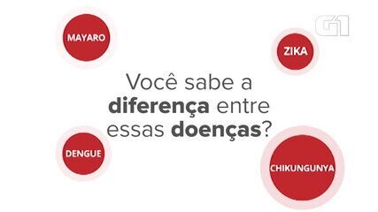 Veja a diferença entre as doenças dengue, zika, chikungunya e mayaro