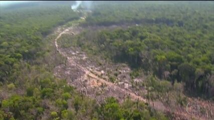 Precisão das imagens do Inpe sobre desmatamento é superior a 90%, dizem pesquisadores