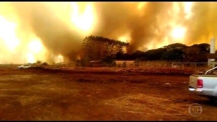 Mato Grosso enfrenta a pior temporada de queimadas em sete anos