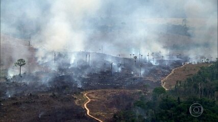 Fantástico flagra queimadas e transporte de madeira ilegal na Amazônia