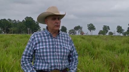 "Ninguém vai me pagar por preservar, ninguém paga os outros por andar na lei”, afirma Mauro ao Globo Rural