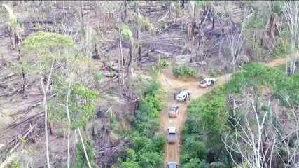 Na Amazônia, projetos de conservação das florestas estão parados