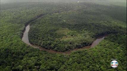 Mourão tirou Salles do Fundo da Amazônia para recuperar doações, mas fluxo segue paralisado