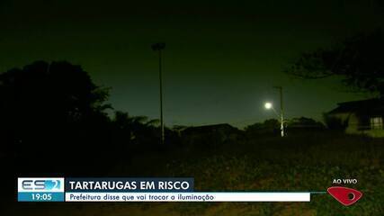 Iluminação em praia da Serra compromete nascimento de tartarugas marinhas