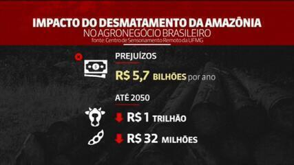 Desmatamento da Amazônia: Agronegócio pode ter prejuízo anual de R$ 5,7 bilhões, diz pesquisa