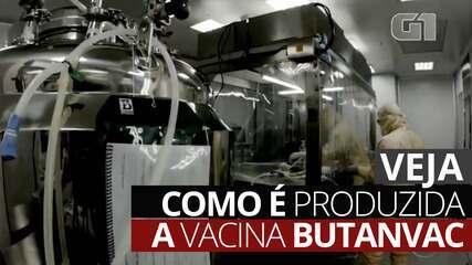 VÍDEO: Veja como é produzida a vacina Butanvac