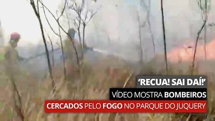 'Recua! Sai daí!': vídeo mostra bombeiros cercados pelo fogo no Parque do Juquery