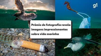 Máscaras e cigarro no mar: prêmio de fotografia mostra impacto da poluição nos animais