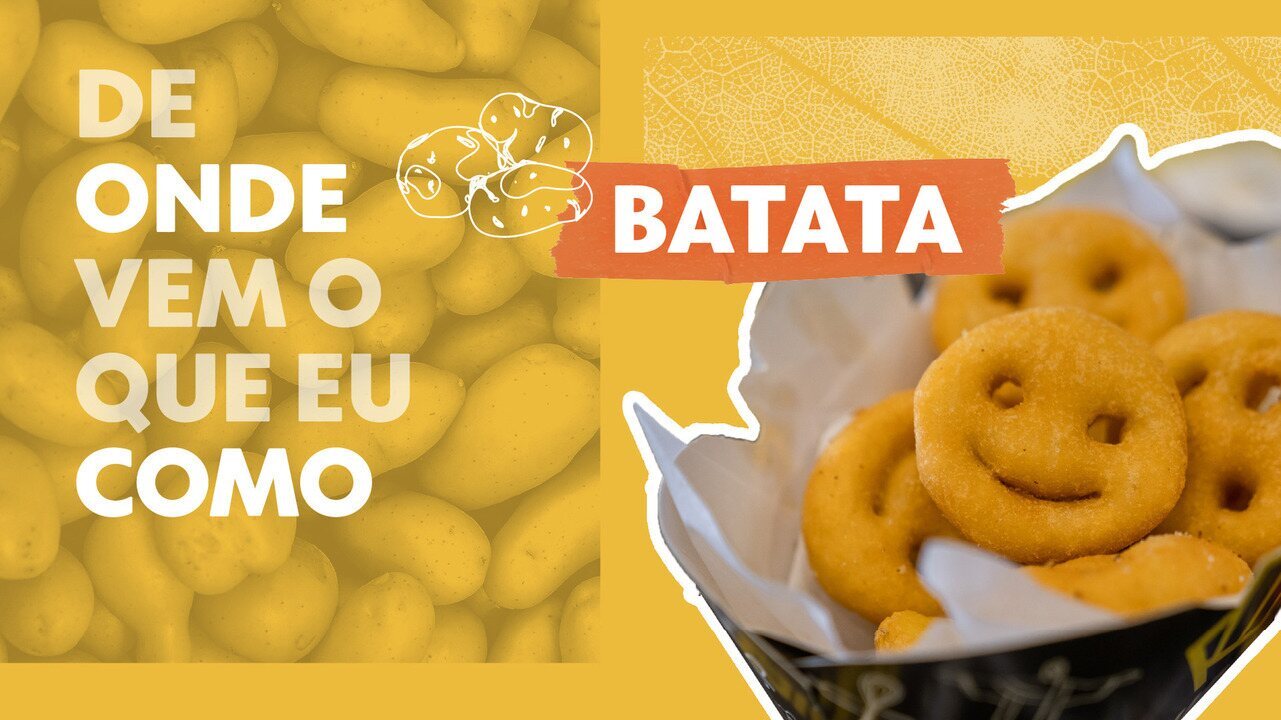 De onde vem: batata 'dorme' por meses e só suas netas vão para os mercados