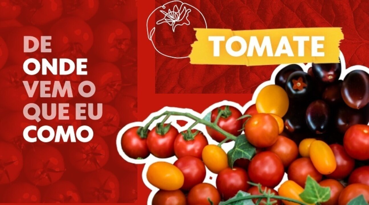 De Onde Vem o tomate