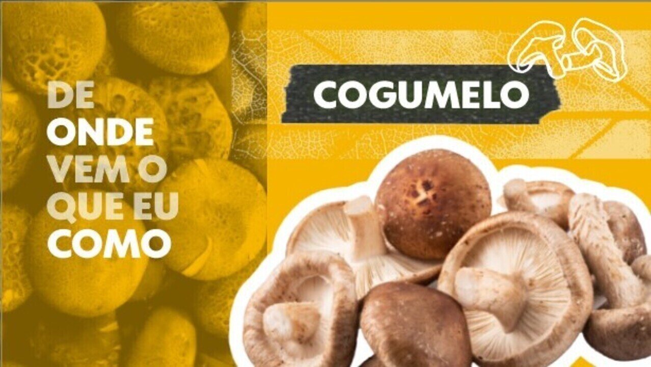 Como o cogumelo é enganado para 'achar' que está na Ásia e ser cultivado no Brasil