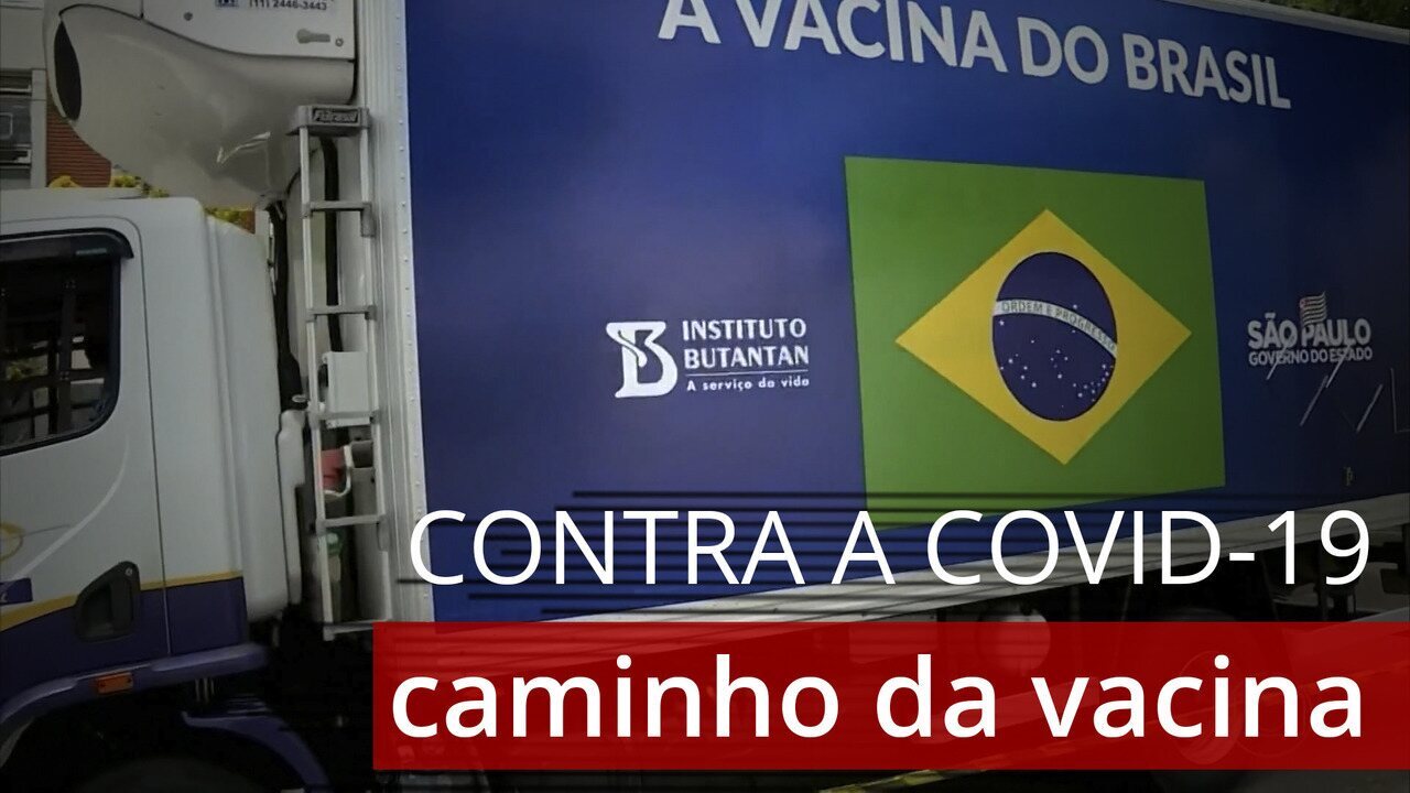 Entenda o caminho das vacinas contra a Covid-19 no Brasil