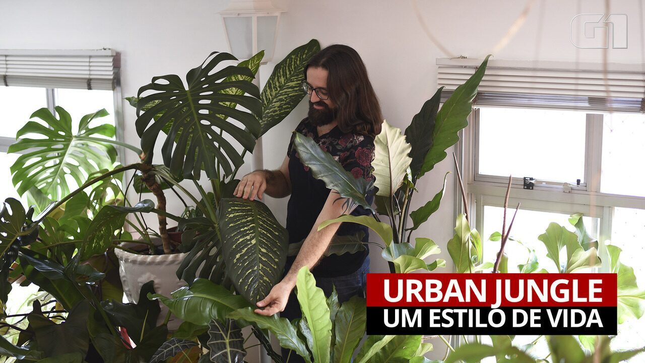 De mil plantas em casa até ‘floresta na comunidade’: como é viver em uma urban jungle