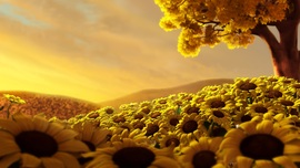 Sun Flower WorldHD