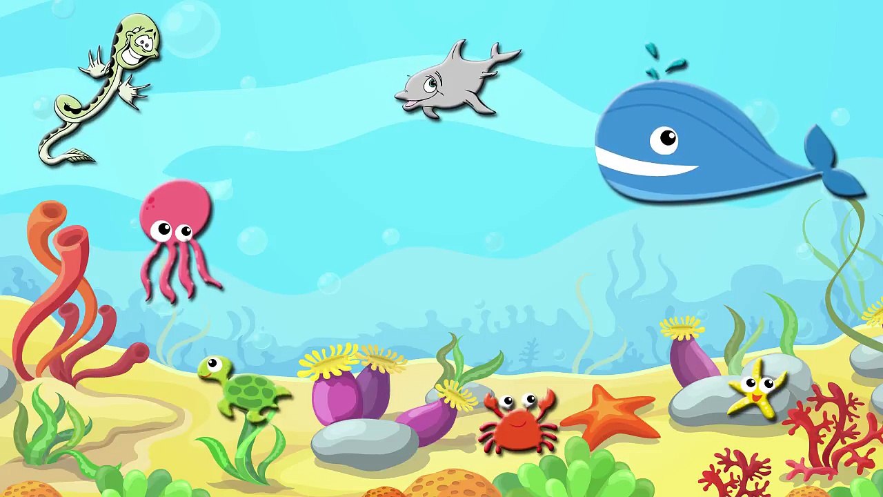 Ocean Animals! Learning Ocean Animals for Kids - Video Dailymotion