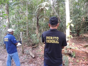 Mulher e dois filhos adolescentes foram torturados e mortos em mata fechada em Juína (Foto: Juína News)