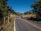 ICMBio alerta para risco de acidentes com animais em estrada de MT