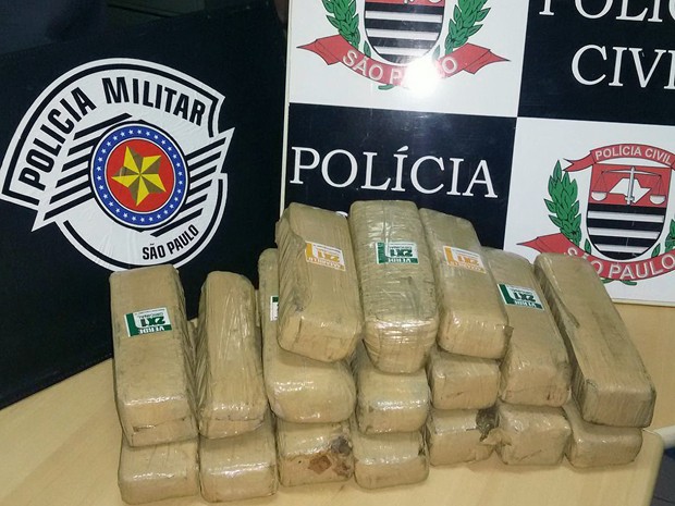 Droga foi localizada em meio à vegetação (Foto: Polícia Civil/Cedida)