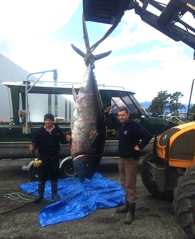 Ben Monk (esq) e Ash Clarke posam o enorme peixe (Foto: Reprodução/Facebook/Big Game Hunting New Zealand)