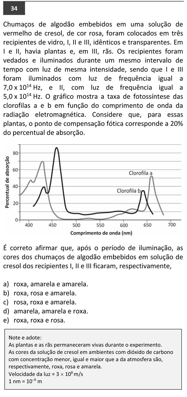 Questao 34 fuvest 2016 (Foto: Reprodução/ Fuvest)