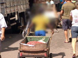 Trabalho infantil aumentou em 2014, o que não acontecia desde 2005, diz o IBGE (Gnews) (Foto: Reprodução GloboNews)