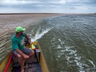 Lama no Rio Doce: linha do tempo mostra o desastre no Espírito Santo