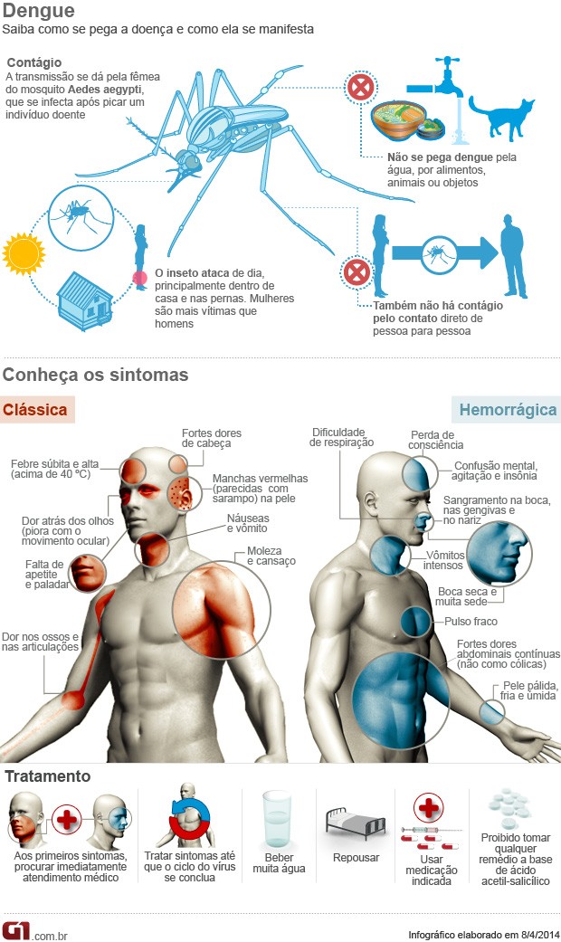 Infográfico Dengue (Foto: Arte/G1)