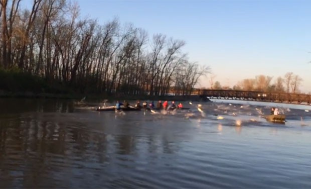 Remadores foram atacados por 'carpas voadoras' durante treino em lago (Foto: Reprodução/YouTube/Cubsman720)