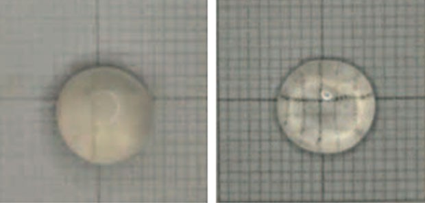 Lentes de coelho com catarata (esquerda) mostrando aumento da transparêcia após o uso de Lanosterol (direita)