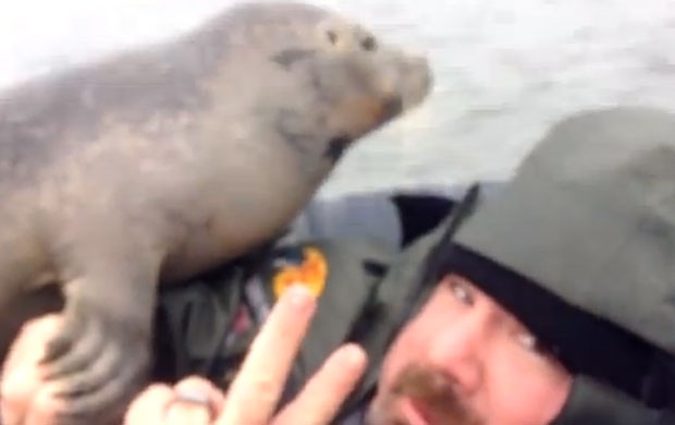 Caçador faz pose ao ganhar 'abraço' de foca (Foto: Reprodução/YouTube/Ocean State Outfitters)