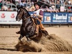 Cavalo de São Lourenço do Sul vence o Freio de Ouro 2015 na Expointer