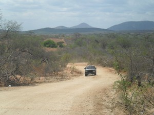 A PE 499 ligas as cidades de Terra Nova e Cabrobó em Pernambuco (Foto: Gabriely Souza/Arquivo pessoal)