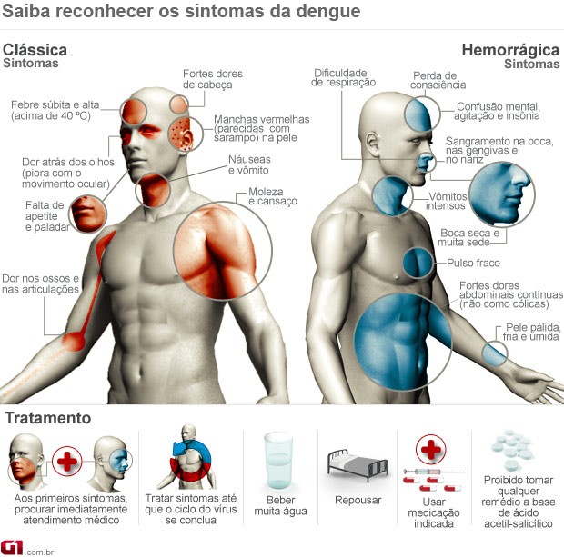 Saiba quais são os sintomas da dengue (Foto: Editoria de Arte G1)