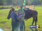 Americano é multado por andar bêbado a cavalo