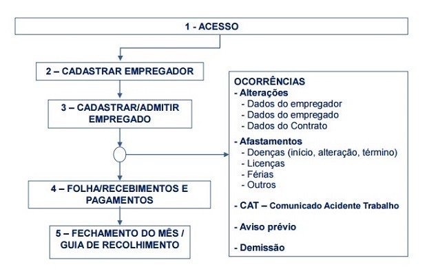 Fluxograma explica como funcionará a emissão da guia de recohimento (Foto: Reprodução)