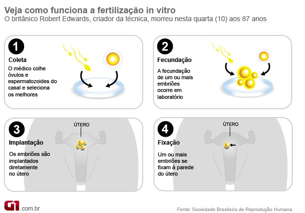 Info fertilização (Foto: G1)