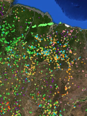 Mapa mostra focos de incêndio nas últimas 24h (Foto: Inpe)