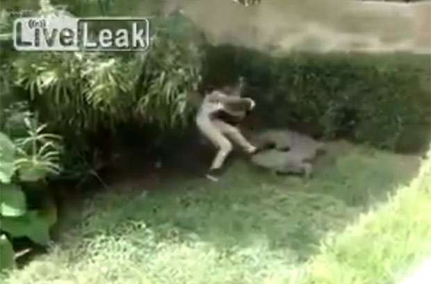 Mulher chegou a provocar o crocodilo, que avançou contra ela (Foto: Reprodução/LiveLeak)