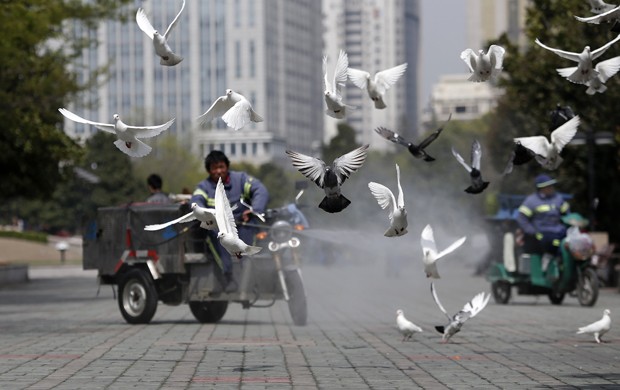 Pássaros fogem assustados enquanto homem joga jato de água no chão de praça (Foto: Aly Song/Reuters)