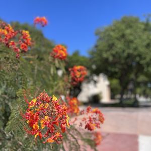 Fullerton College on Yelp