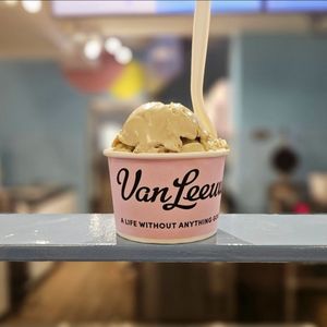 Van Leeuwen on Yelp