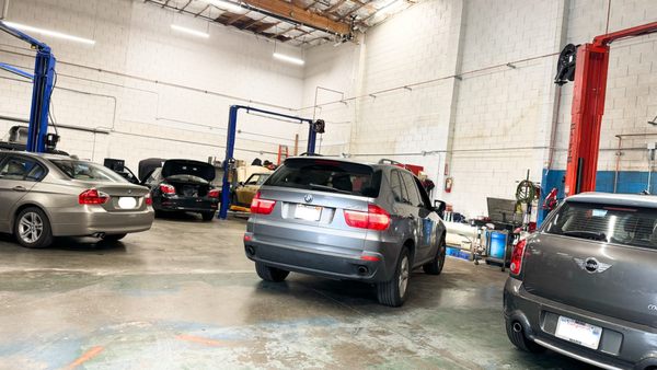 Photo of Bay Motor Works - San Francisco, CA, US. Your local bow and mini Cooper dealership alternative