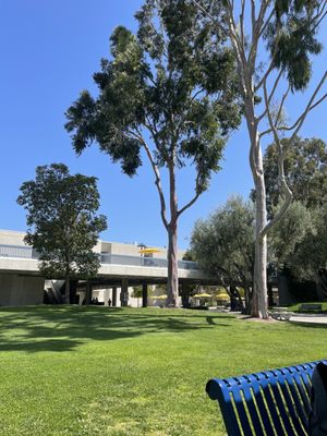 Photo of Cypress College - Cypress, CA, US.