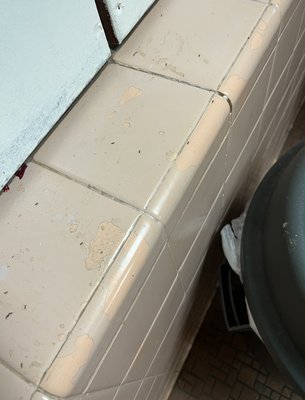 Photo of Princess Anne High School - Virginia Beach, VA, US. ants in the bathroom